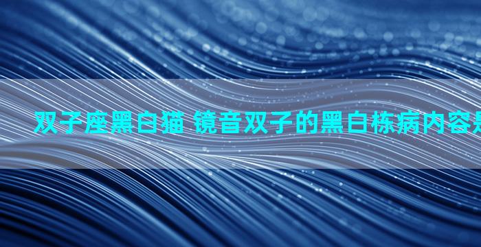 双子座黑白猫 镜音双子的黑白栋病内容是什么意思